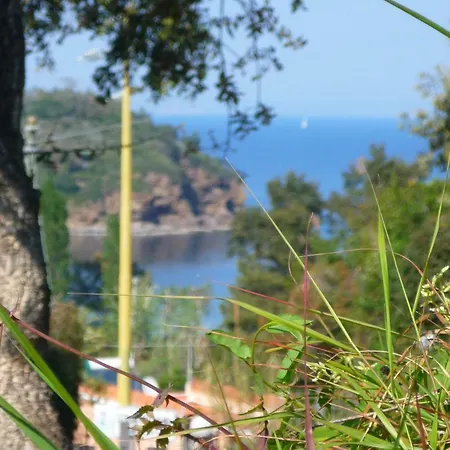 Apts. Serena By Solturelba Casa de Férias Capoliveri (Isola d'Elba)